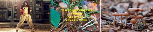 мяу мяу кристалл Карпинск