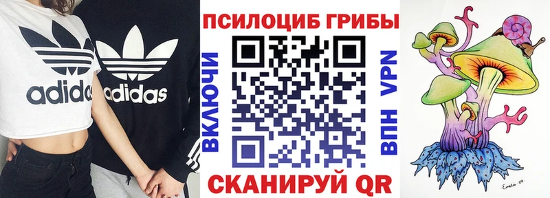 Купить где  Великий Устюг  Галлюциногенные грибы ЛСД 